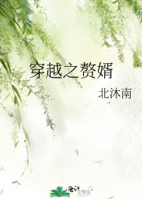 穿越之赘婿